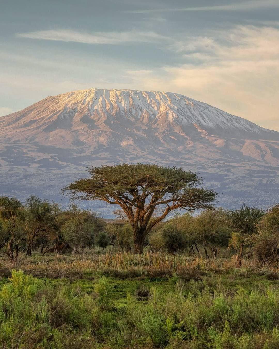 The Roof of Africa